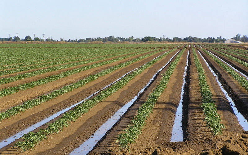 Imagem de sistema de irrigação por superfície